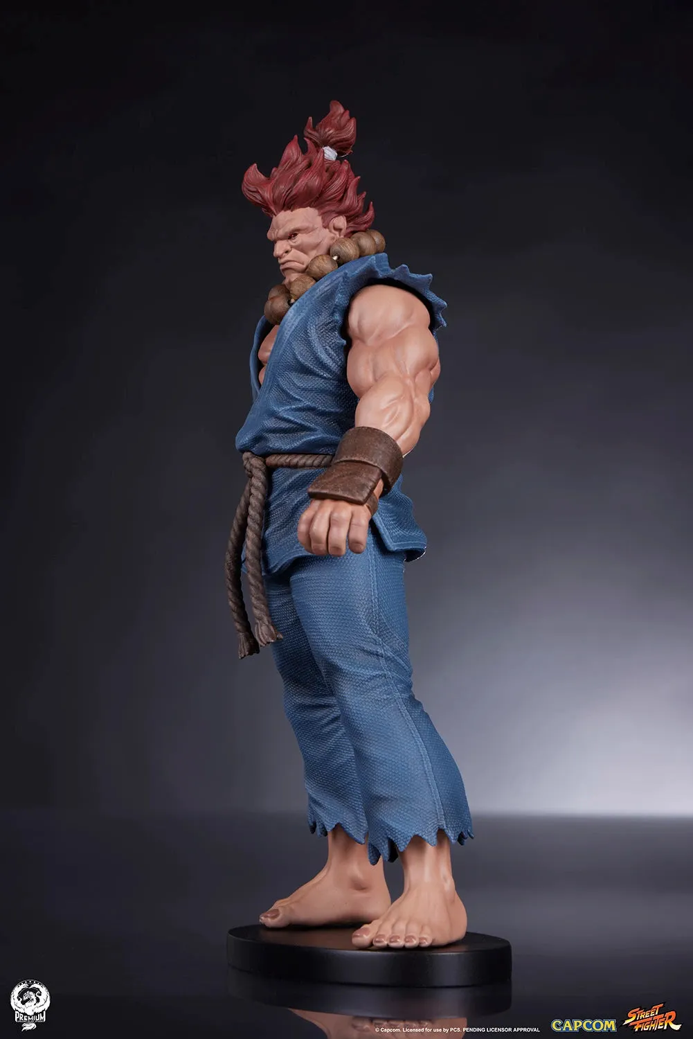 PCS Statue: Street Fighter - Set Akuma y Dhalsim Escala 1/10